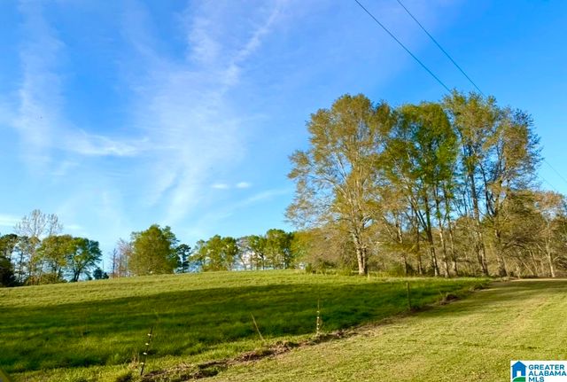 1749 MCCOLLUM CHURCH ROAD, Lineville, AL 36266