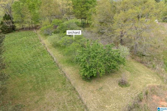 1749 MCCOLLUM CHURCH ROAD, Lineville, AL 36266