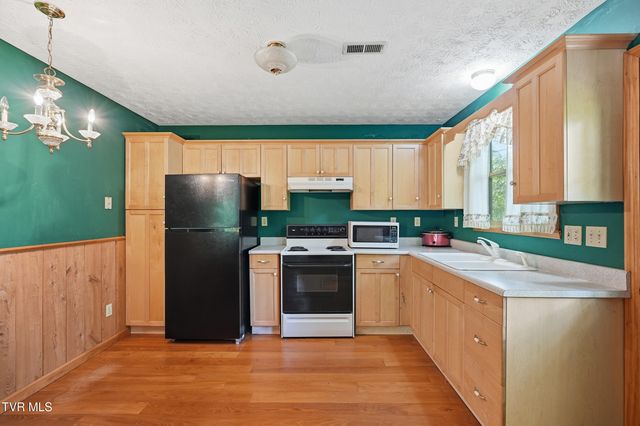 307 Ollis Bowers Hill Road, Kingsport, TN 37664