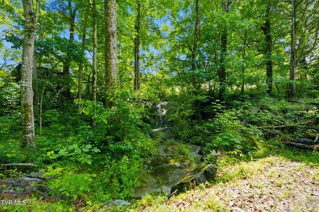 307 Ollis Bowers Hill Road, Kingsport, TN 37664