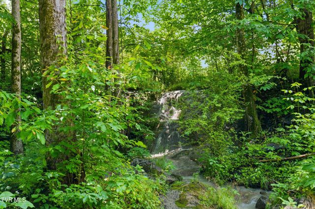 307 Ollis Bowers Hill Road, Kingsport, TN 37664