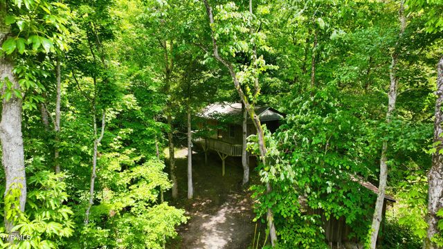 307 Ollis Bowers Hill Road, Kingsport, TN 37664
