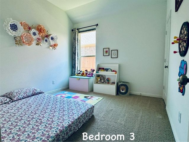 14065 Falcon Ranch Drive, Frisco, TX 75035