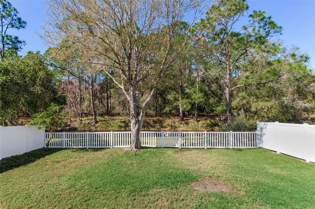 13101 ROYAL GEORGE AVENUE, Odessa, FL 33556