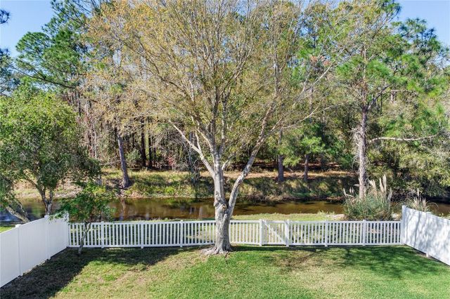 13101 ROYAL GEORGE AVENUE, Odessa, FL 33556