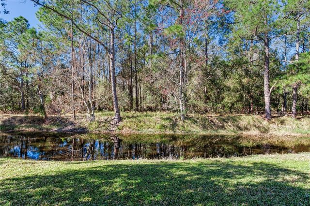 13101 ROYAL GEORGE AVENUE, Odessa, FL 33556