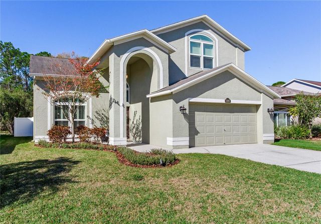 13101 ROYAL GEORGE AVENUE, Odessa, FL 33556