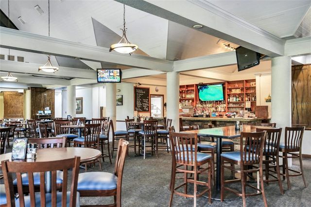 13101 ROYAL GEORGE AVENUE, Odessa, FL 33556