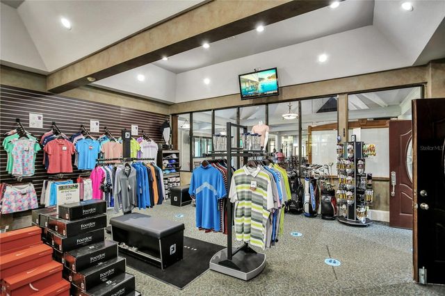 13101 ROYAL GEORGE AVENUE, Odessa, FL 33556