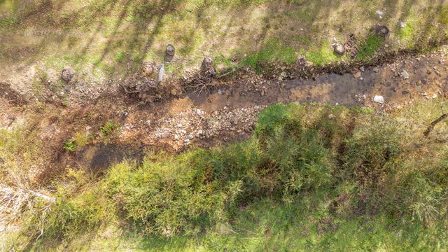 124 Pope Dr, Waynesboro, TN 38485