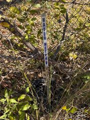 Lot 9D Foothill RD, Bastrop, TX 78602