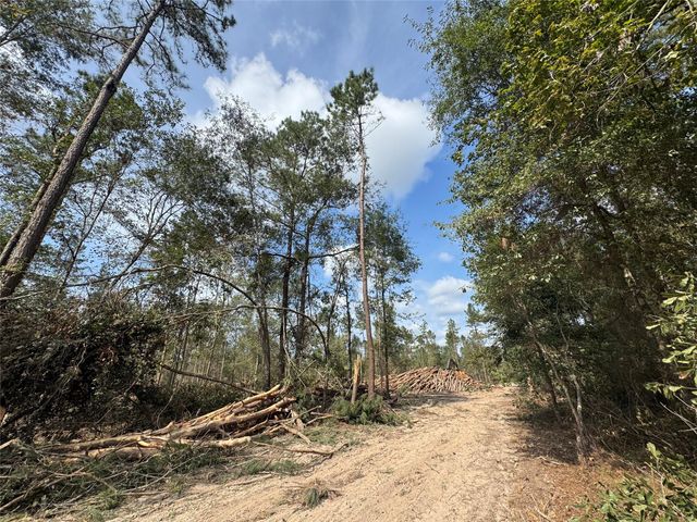 0 County Road 2235, Cleveland, TX 77327