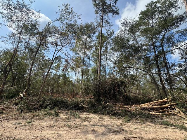 0 County Road 2235, Cleveland, TX 77327