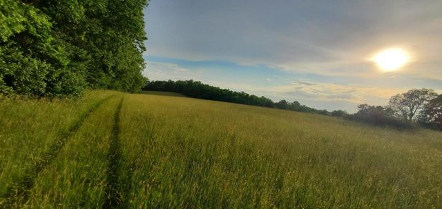 559 Moran Summit Road, Richmond, KY 40475