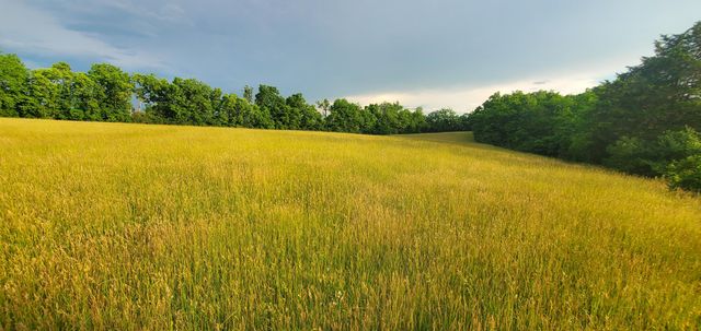 559 Moran Summit Road, Richmond, KY 40475