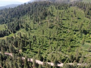 Lot 4 Matsen Creek Rd, Kettle Falls, WA 99141
