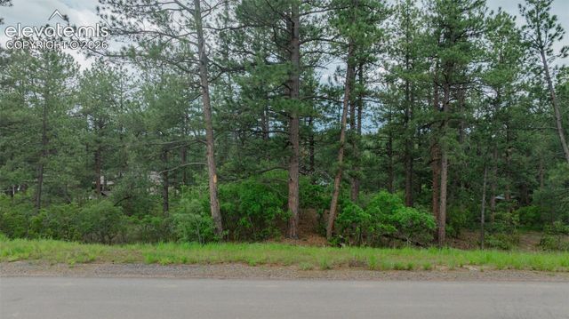 648 Copper Fox Place, Larkspur, CO 80118