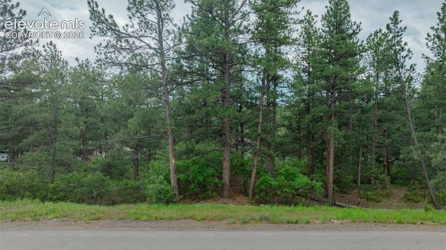 648 Copper Fox Place, Larkspur, CO 80118