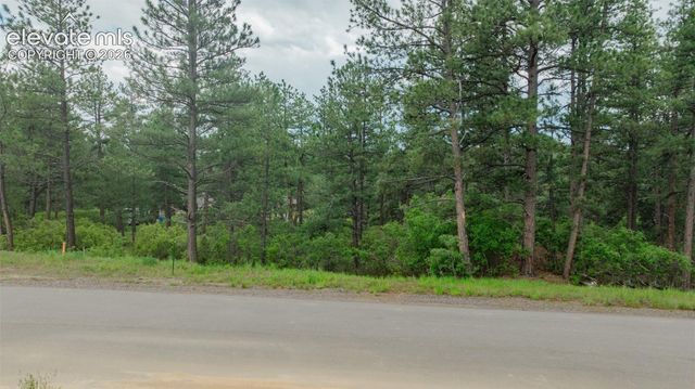 648 Copper Fox Place, Larkspur, CO 80118