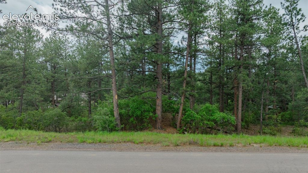 648 Copper Fox Place, Larkspur, CO 80118 — photo 3