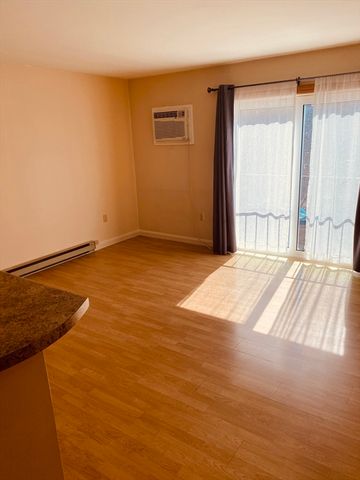 10 Gediminas Street 19, Worcester, MA 01610