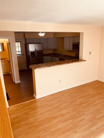 10 Gediminas Street 19, Worcester, MA 01610