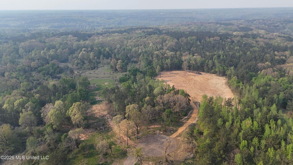8 Tyro Branch Cove, Senatobia, MS 38668 — photo 2