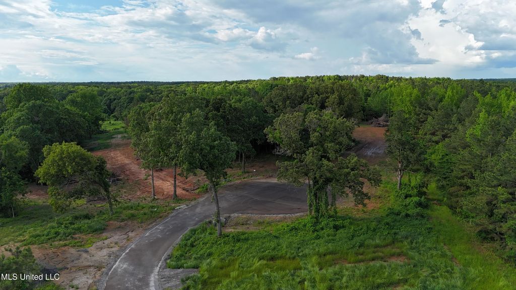 8 Tyro Branch Cove, Senatobia, MS 38668 — photo 3