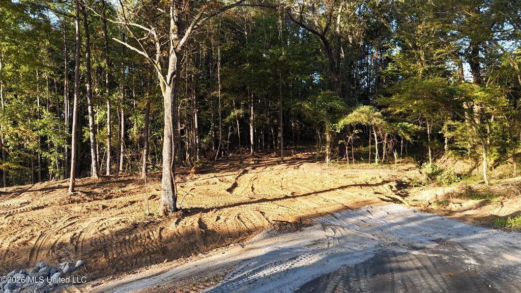 8 Tyro Branch Cove, Senatobia, MS 38668 — photo 4