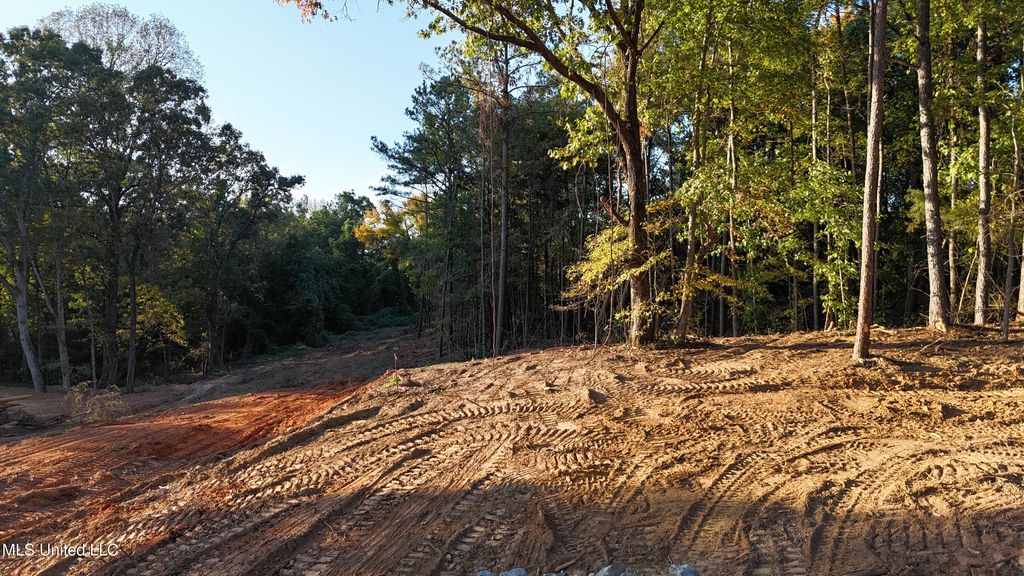 8 Tyro Branch Cove, Senatobia, MS 38668 — photo 5