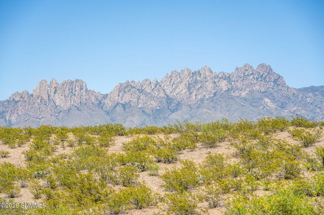 4157 Calle Belleza, Las Cruces, NM 88011