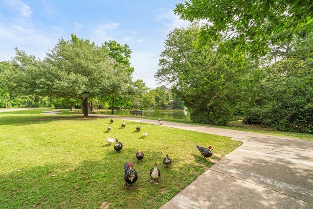35 N Pathfinders Circle BLANK, The Woodlands, TX 77381