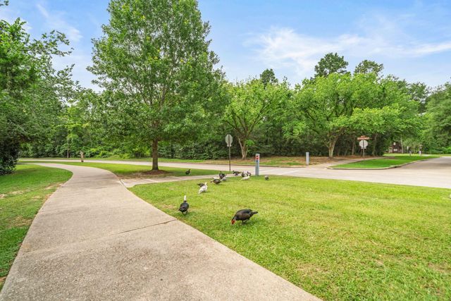 35 N Pathfinders Circle BLANK, The Woodlands, TX 77381