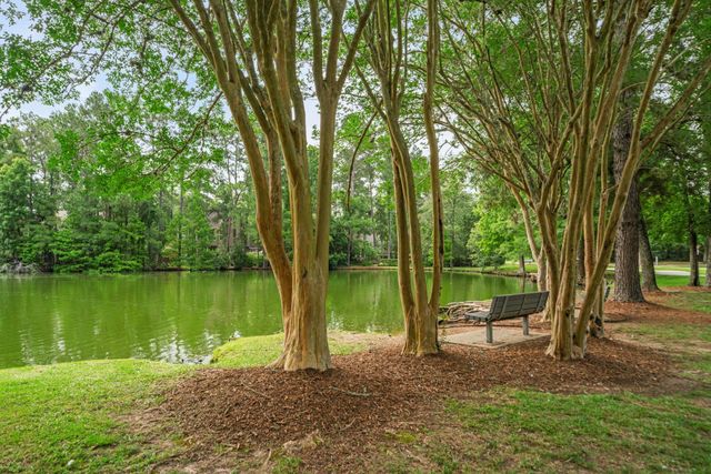 35 N Pathfinders Circle BLANK, The Woodlands, TX 77381