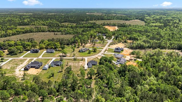 110 Quiet Springs Trail, Willis, TX 77378