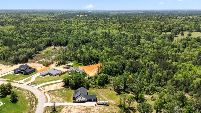 110 Quiet Springs Trail, Willis, TX 77378