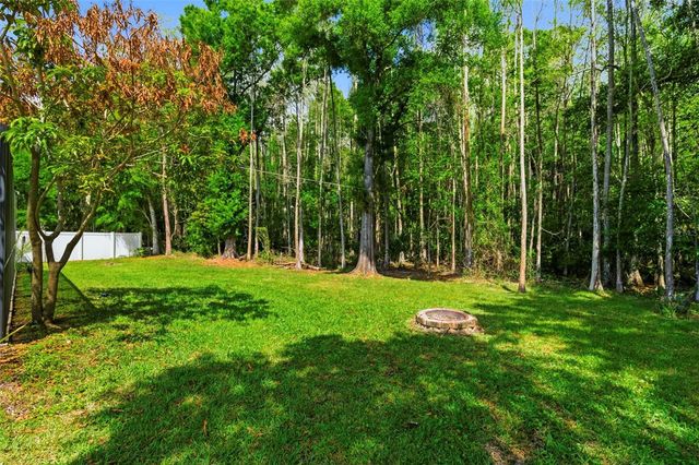 4118 WOODACRE LANE, Tampa, FL 33624