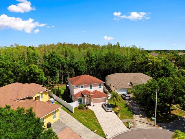 4118 WOODACRE LANE, Tampa, FL 33624