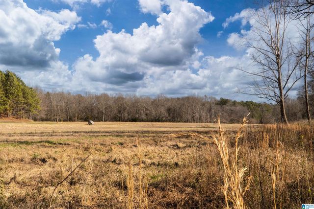 625 COUNTY ROAD 454, Heflin, AL 36264