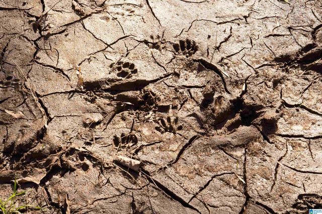 625 COUNTY ROAD 454, Heflin, AL 36264