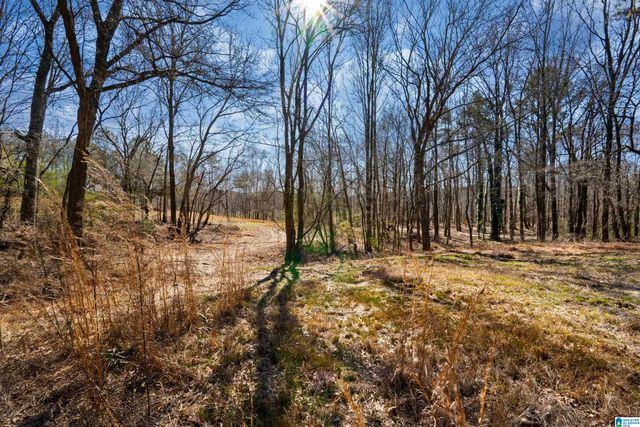 625 COUNTY ROAD 454, Heflin, AL 36264