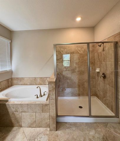 14023 TROPICAL KINGBIRD WAY, Riverview, FL 33579