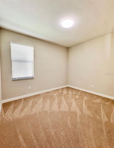 14023 TROPICAL KINGBIRD WAY, Riverview, FL 33579