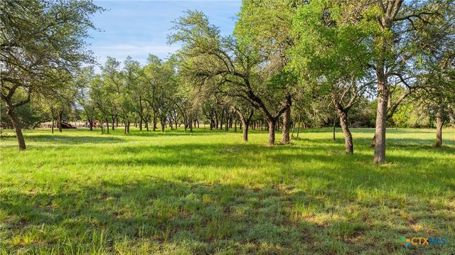Lot 7 Morning Dew Drive, Round Mountain, TX 78663
