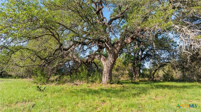 Lot 7 Morning Dew Drive, Round Mountain, TX 78663