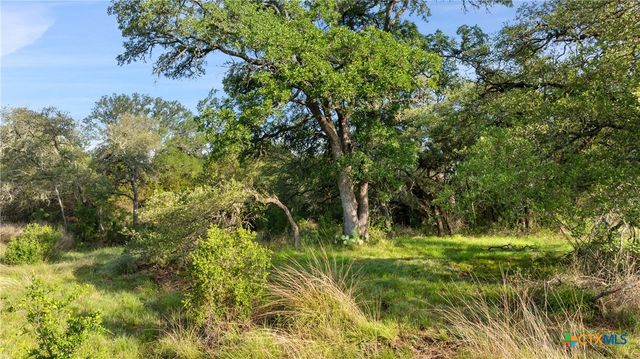 Lot 7 Morning Dew Drive, Round Mountain, TX 78663