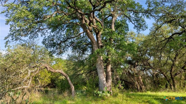 Lot 7 Morning Dew Drive, Round Mountain, TX 78663
