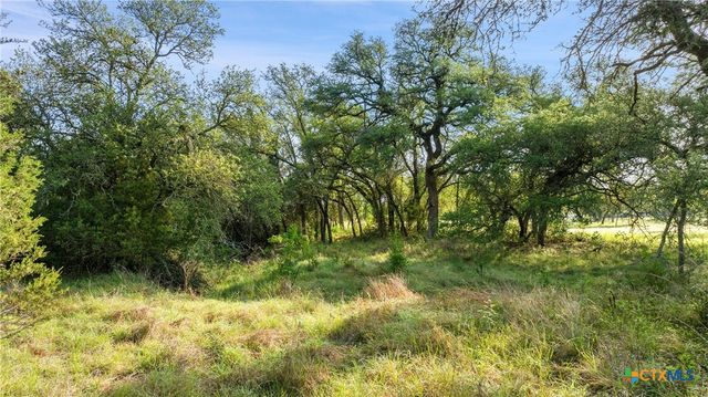 Lot 7 Morning Dew Drive, Round Mountain, TX 78663