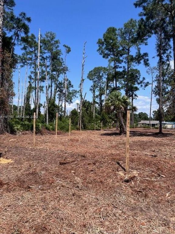 718 Columbus Avenue, Lehigh Acres, FL 33972