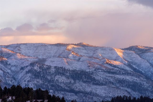 163 Peregrine Street, Durango, CO 81301